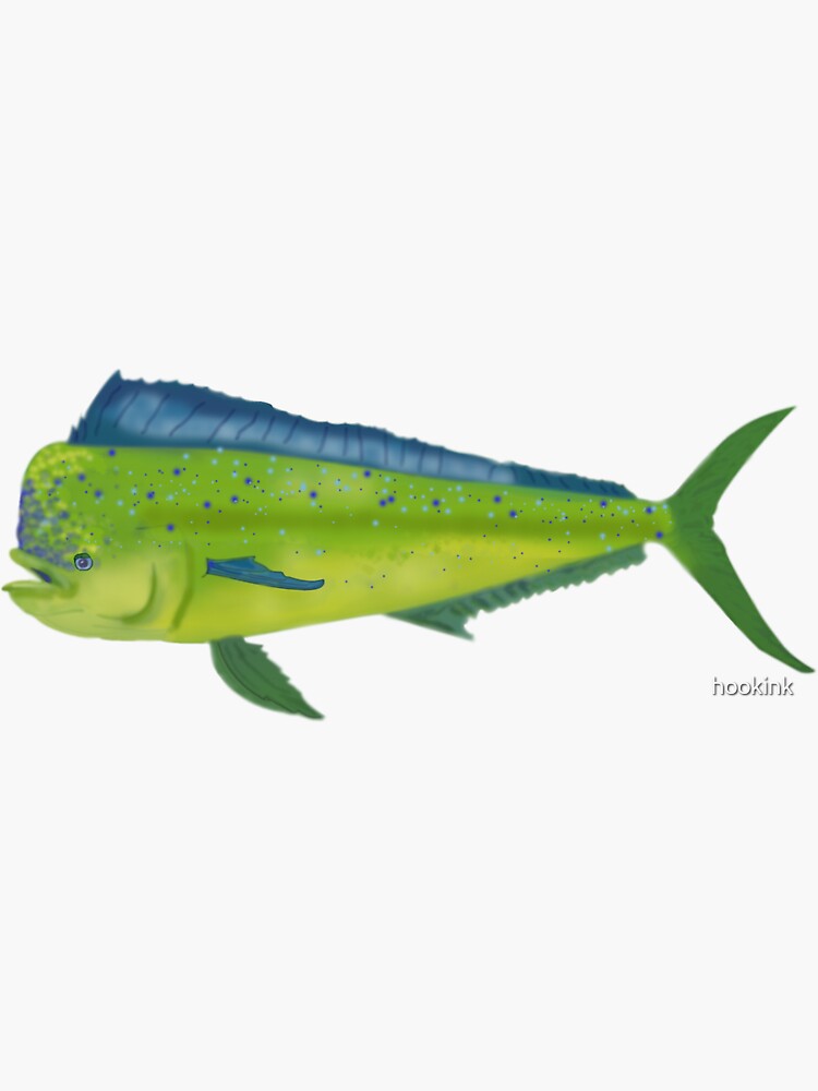 "Mahi Mahi aka the Dolphin" Sticker for Sale by hookink Redbubble