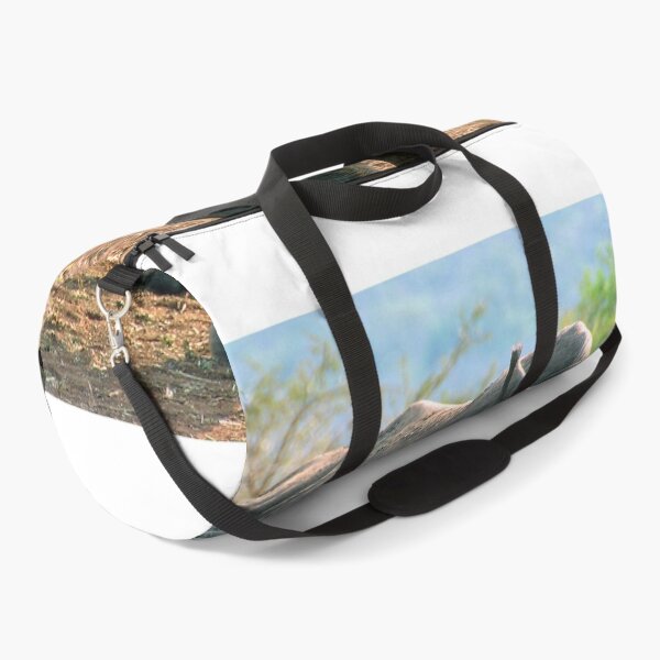 Item preview, White Rhinoceros Rhino Zulu Nyala Reserve South Africa designed and sold by AndyEvansPhotos.