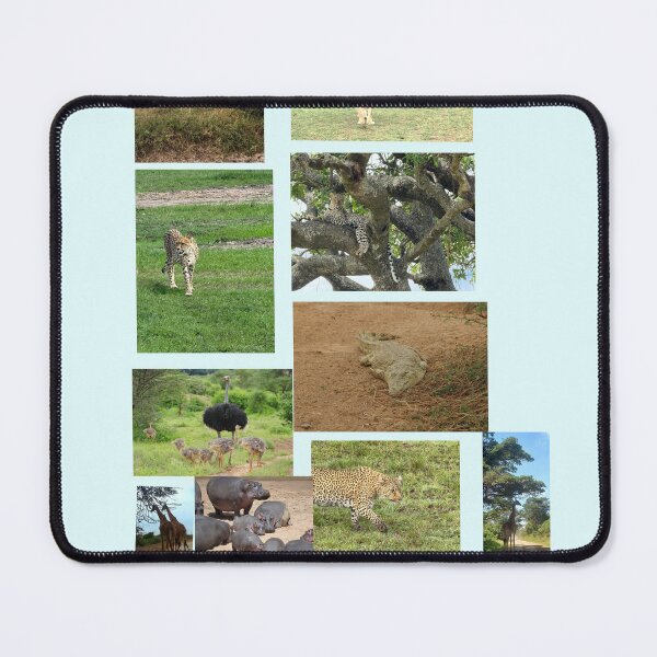 Item preview, Classic Wild animal Photos in the Parks and Reserves designed and sold by annenambiro.