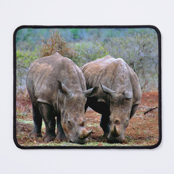 Item preview, White Rhinoceros Rhino Zulu Nyala Reserve South Africa designed and sold by AndyEvansPhotos.