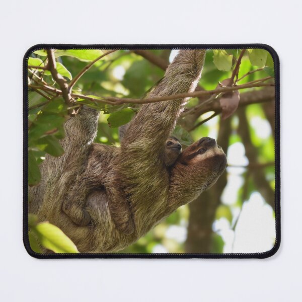Item preview, Three-toed sloth with baby  designed and sold by lhowden.