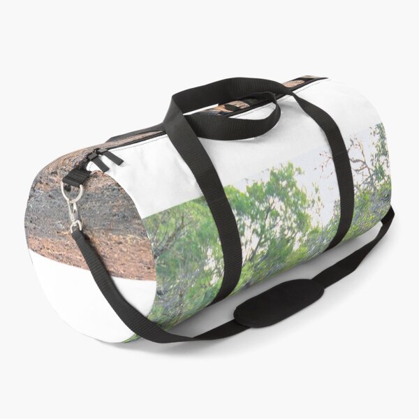 Item preview, White Rhinoceros Rhino Zulu Nyala Reserve South Africa designed and sold by AndyEvansPhotos.