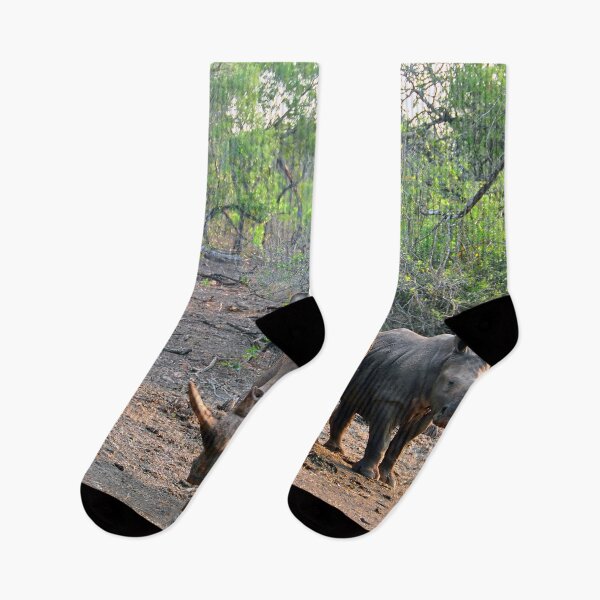 Item preview, White Rhinoceros Rhino Zulu Nyala Reserve South Africa designed and sold by AndyEvansPhotos.