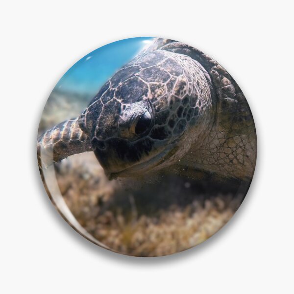 Item preview, Sea Turtle Marsa Alam Hurghada Red Sea designed and sold by Ahmed ElMekawy.
