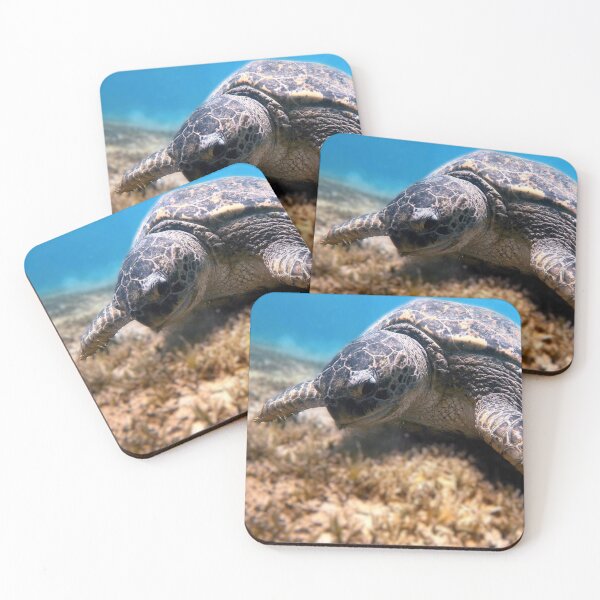 Item preview, Sea Turtle Marsa Alam Hurghada Red Sea designed and sold by Ahmed ElMekawy.