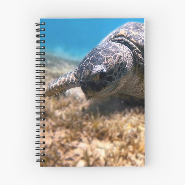 Item preview, Sea Turtle Marsa Alam Hurghada Red Sea designed and sold by Ahmed ElMekawy.
