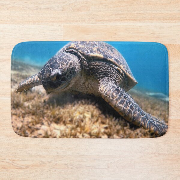 Item preview, Sea Turtle Marsa Alam Hurghada Red Sea designed and sold by Ahmed ElMekawy.