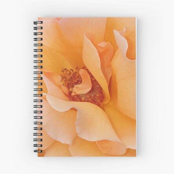 Item preview, Orange Rose designed and sold by amanda150771.