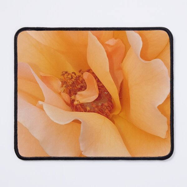 Item preview, Orange Rose designed and sold by amanda150771.