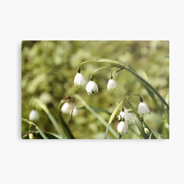 White 'n' Green Metal Print