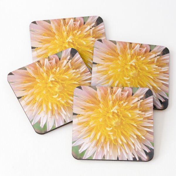 Item preview, Pink Dandelion  designed and sold by amanda150771.