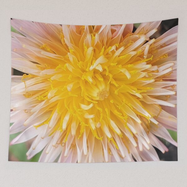 Item preview, Pink Dandelion  designed and sold by amanda150771.