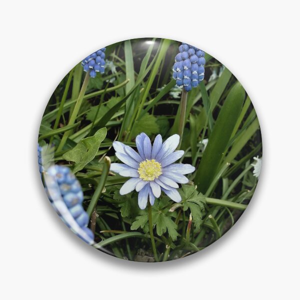 Artikelvorschau, Traubenhyazinthen und Balkenanemone entworfen und verkauft von Scott and Mary Schneider art_photography.
