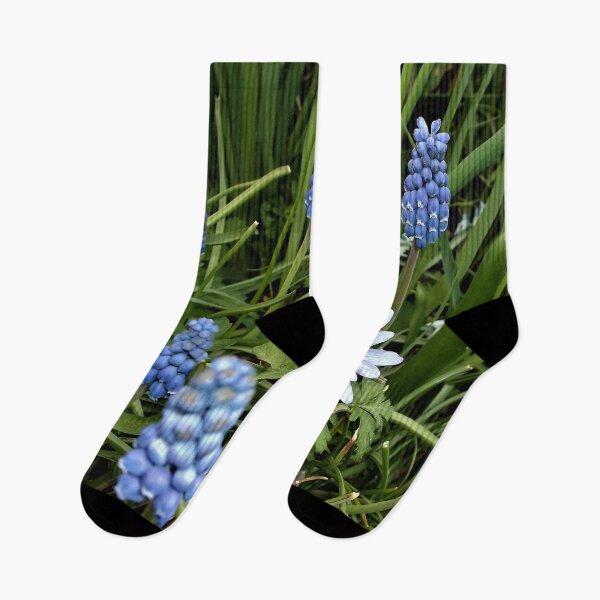Item preview, Grape Hyacinths and Balken Anemone designed and sold by Scott and Mary Schneider art_photography.