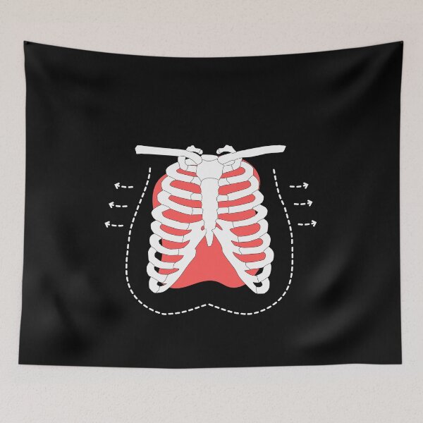 Item preview, Diaphragm Muscle - Breathing Training designed and sold by iX-Physio.