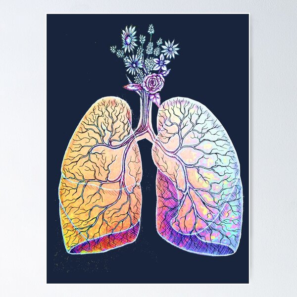 Rainbow Lungs | Floral Anatomy Illustration Poster