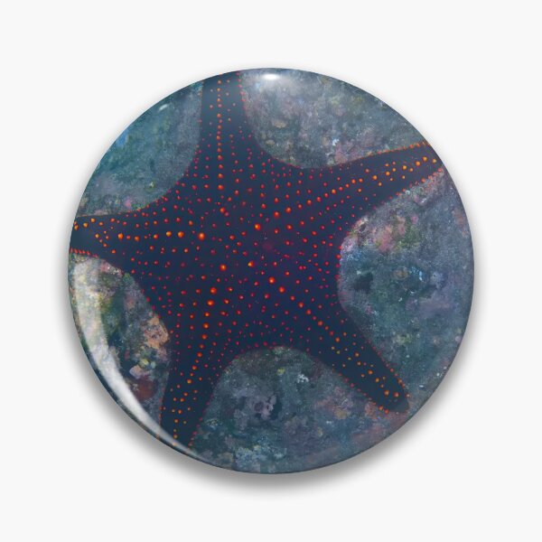 Item preview, BUMPY STARFISH designed and sold by adumont1.
