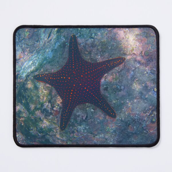 Item preview, BUMPY STARFISH designed and sold by adumont1.