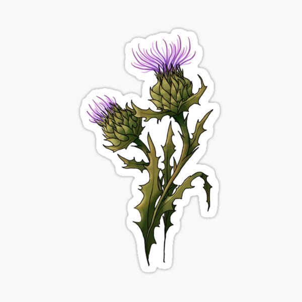 Item preview, Twin Thistles designed and sold by Quinn Thistle.