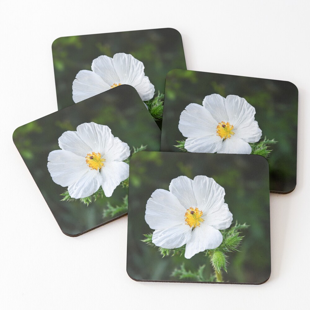 Item preview, Coasters (Set of 4) designed and sold by anchorsofhope.