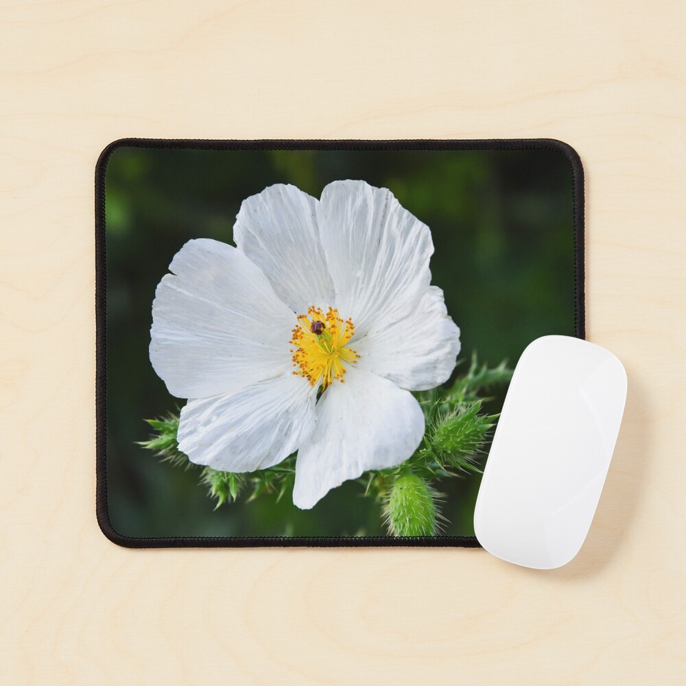 Item preview, Mouse Pad designed and sold by anchorsofhope.