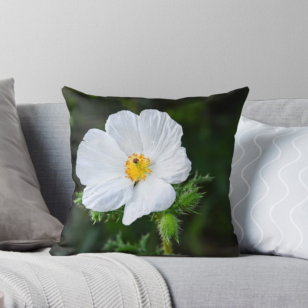 Item preview, Throw Pillow designed and sold by anchorsofhope.