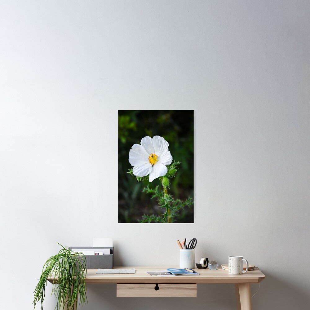 Item preview, Poster designed and sold by anchorsofhope.