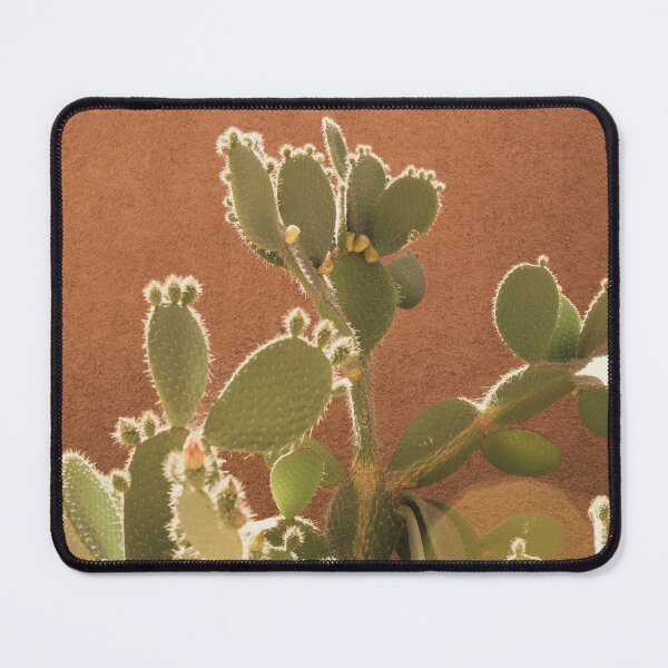 Item preview, Moroccan Desert cactus Plants in Marrakech designed and sold by Morocco Marrakech Photo Prints.