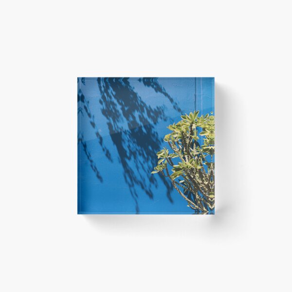 Item preview, blue shadow majorelle garden in Marrakech Morocco desert  designed and sold by Morocco Marrakech Photo Prints.