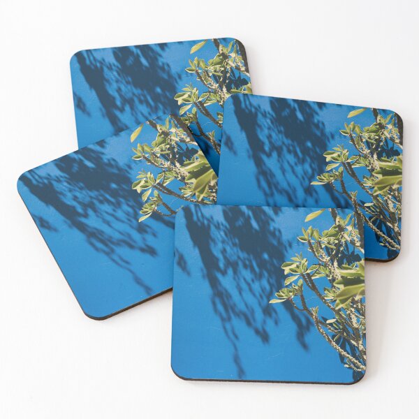 Item preview, Blue garden plants shadow in Marrakech Morocco designed and sold by Morocco Marrakech Photo Prints.
