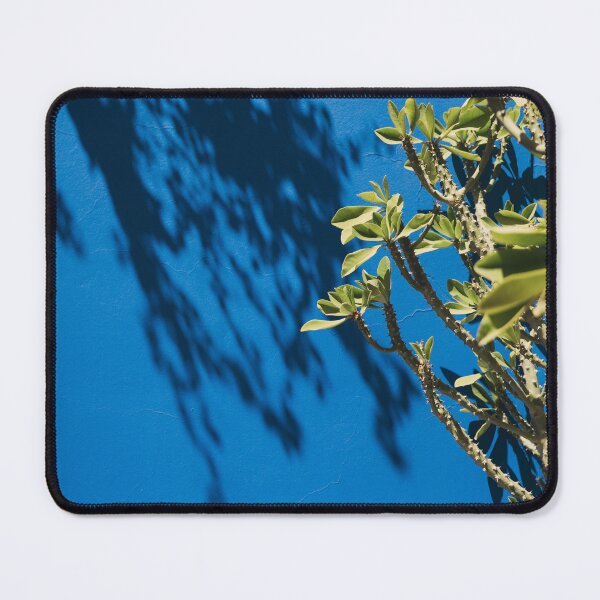 Item preview, Blue garden plants shadow in Marrakech Morocco designed and sold by Morocco Marrakech Photo Prints.