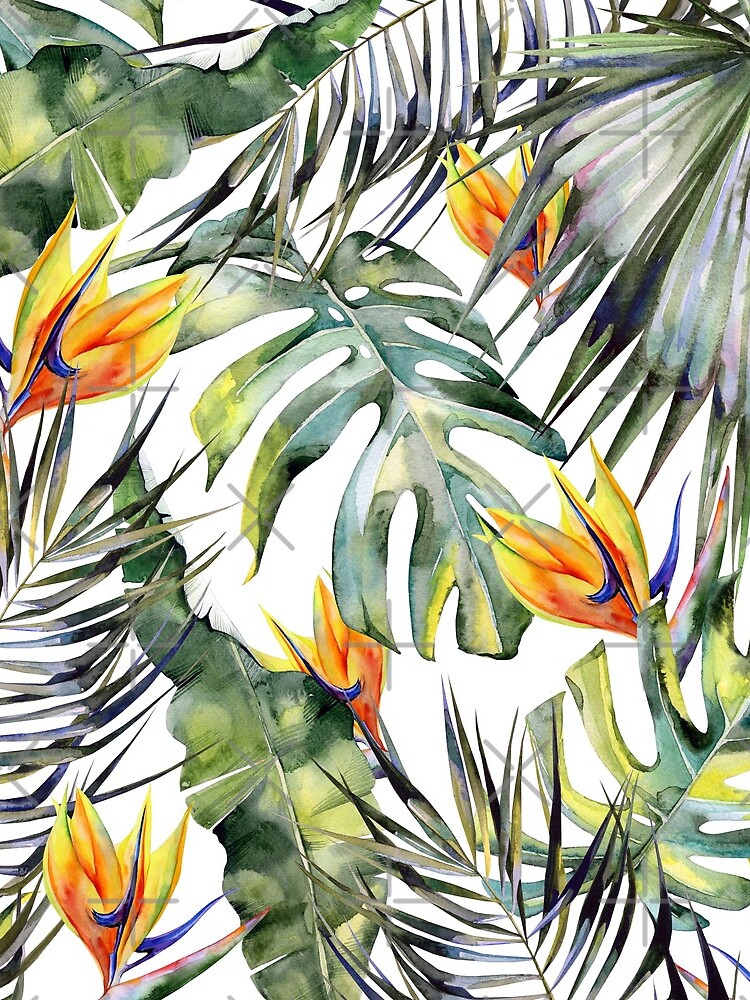 TROPICAL GARDEN by magicdreams