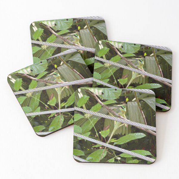 Item preview, Green crested lizard, Singapore designed and sold by Benpa Graphics.