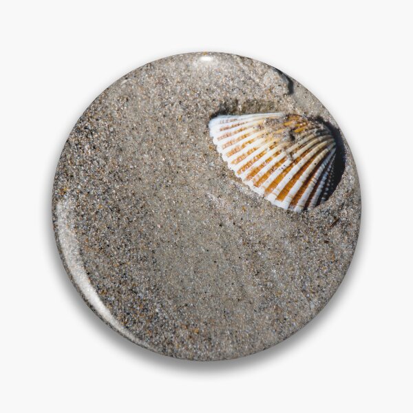 Item preview, Sea Shell Rests on the Sand designed and sold by jrtwynam.
