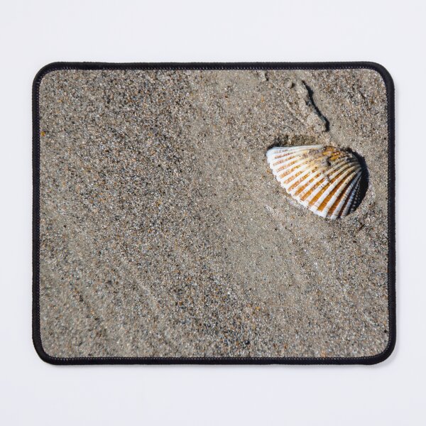 Item preview, Sea Shell Rests on the Sand designed and sold by jrtwynam.