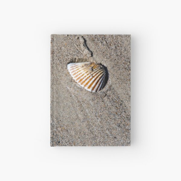 Item preview, Sea Shell Rests on the Sand designed and sold by jrtwynam.