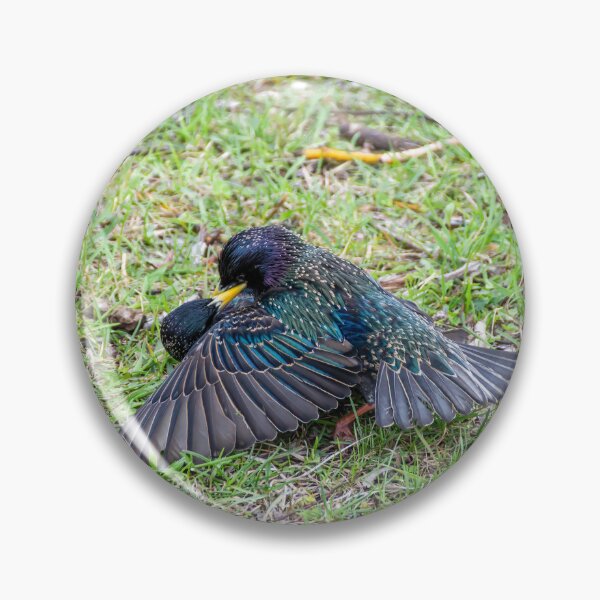 Item preview, Love Birds Cuddle on the Grass designed and sold by jrtwynam.