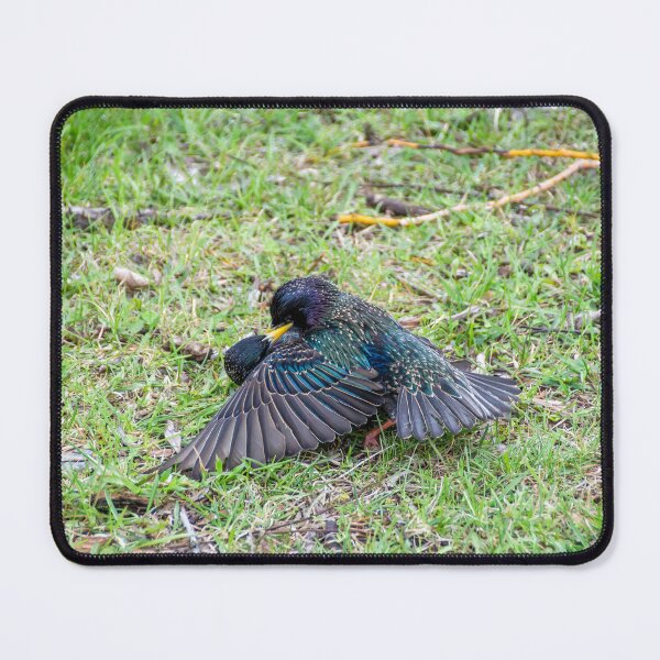 Item preview, Love Birds Cuddle on the Grass designed and sold by jrtwynam.