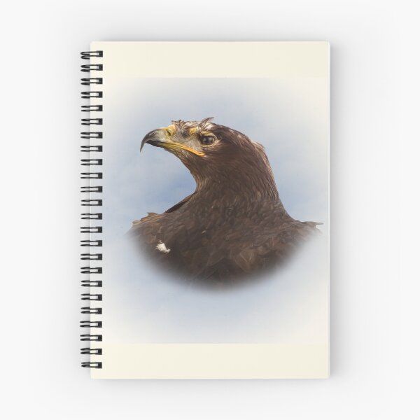 Item preview, Steppe eagle designed and sold by Guardi71.
