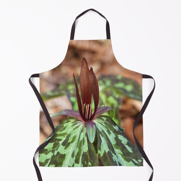 Item preview, Little Sweet Betsy designed and sold by Deb Oppermann.