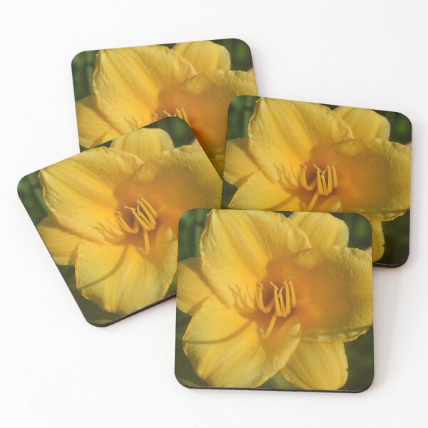 Item preview, Yellow Star Shaped Flower Photography designed and sold by ThePhotograph03.