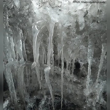 Artwork thumbnail, Springcicles by LilliFilipPhoto