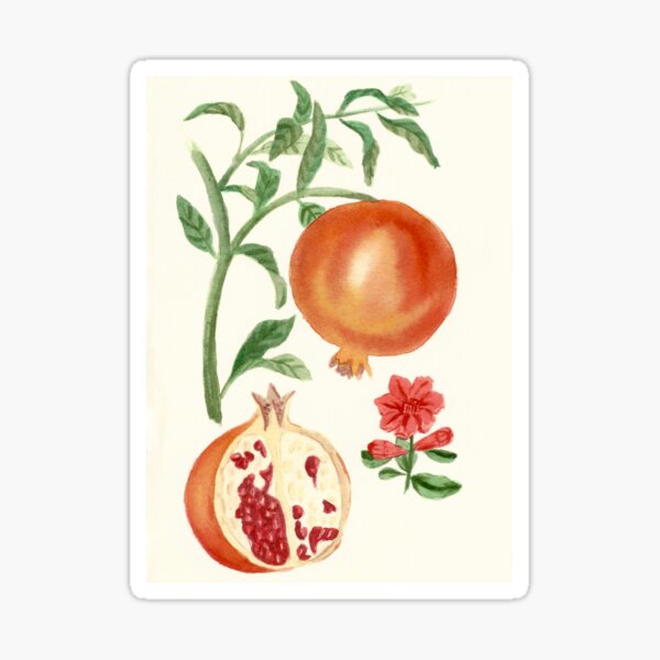 Pomegranate Sticker