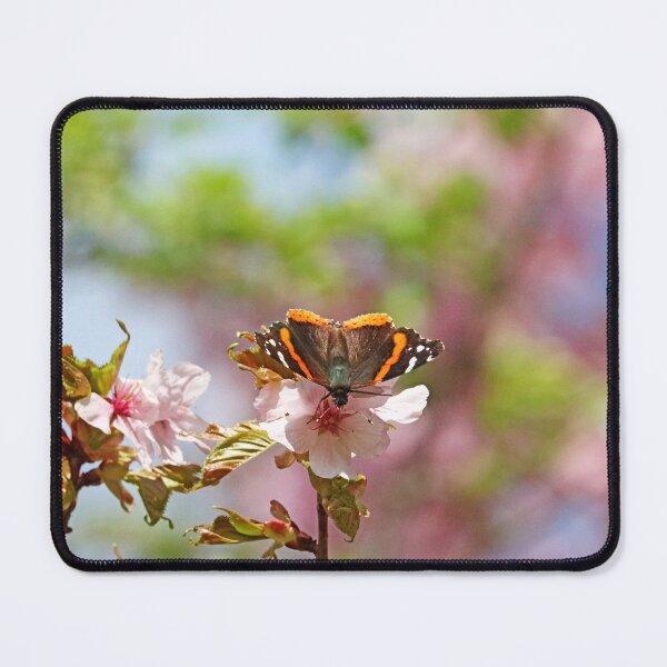 Item preview, Red Admiral Butterfly And Pink Blossoms designed and sold by Deb Oppermann.