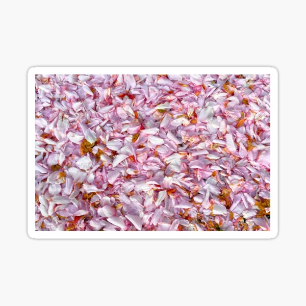 Item preview, Fallen Cherry Blossom designed and sold by Violaman.