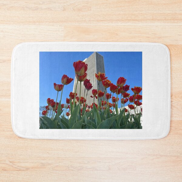 Item preview, Tulips in front of one of the Agency Buildings  designed and sold by Stephanie Fay.