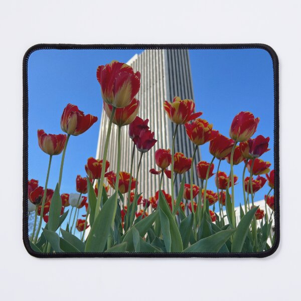 Item preview, Tulips in front of one of the Agency Buildings  designed and sold by Stephanie Fay.