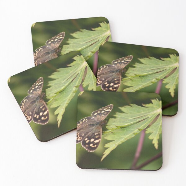Item preview, Speckled Wood Butterfly designed and sold by EarlGreyFTW.