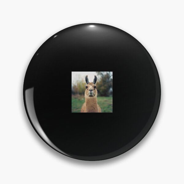Item preview, llama | Photography designed and sold by ComicsFactory.