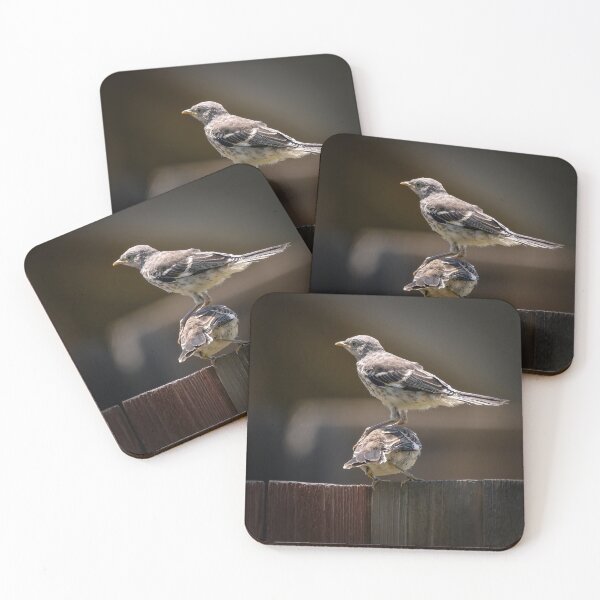 Item preview, Stacked Birds designed and sold by CarolM.